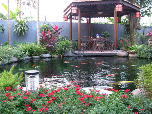 Những cách chọn, trồng cây xanh mang lại tài vận và may mắn