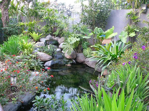 Những cách chọn, trồng cây xanh mang lại tài vận và may mắn