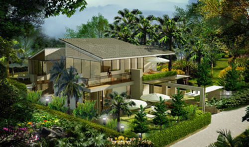 Những cách chọn, trồng cây xanh mang lại tài vận và may mắn