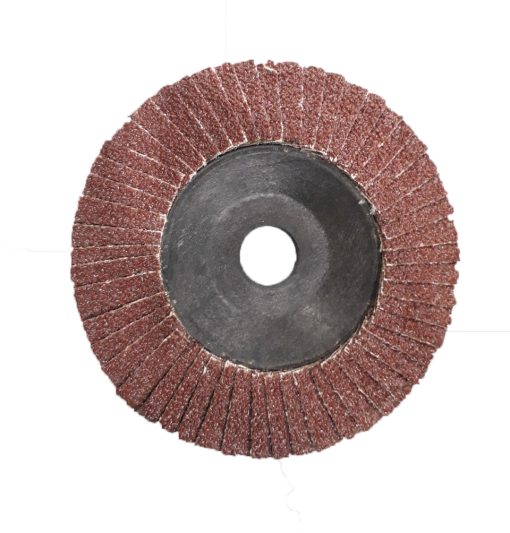 Nhám Xếp 1 Nhám xếp