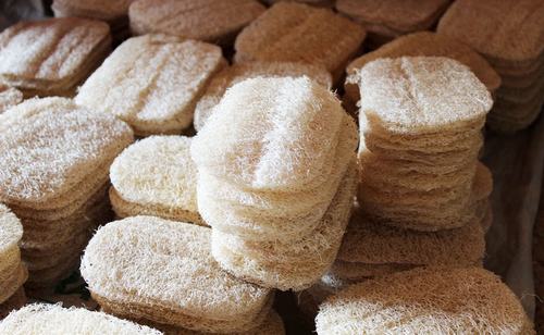 Chế tạo gạch ốp từ xơ mướp