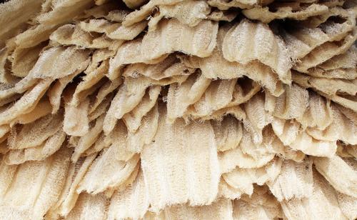 Chế tạo gạch ốp từ xơ mướp