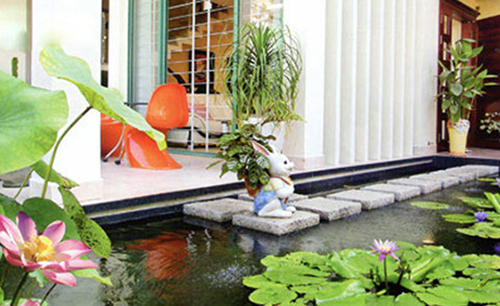 Ý nghĩa của một số loài cây phong thủy