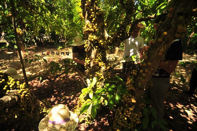 N&eacute;t thanh b&igrave;nh nh&agrave; vườn kinh th&agrave;nh Huế