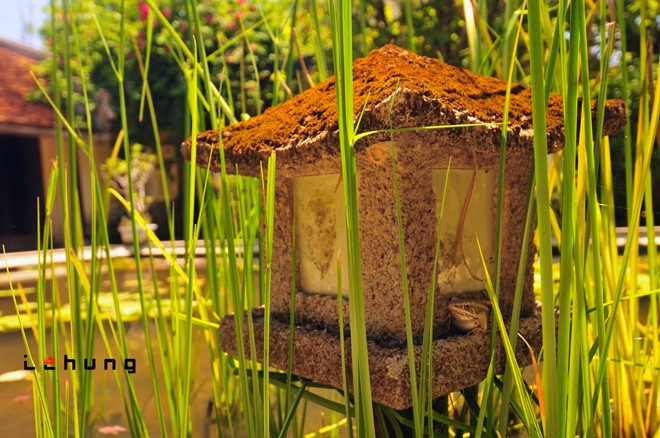 N&eacute;t thanh b&igrave;nh nh&agrave; vườn kinh th&agrave;nh Huế