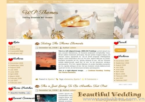 Giao diện theme wordpress chuyên nghiệp