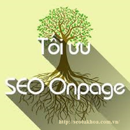 Máy tìm kiếm và Tối ưu Onpage của SEO