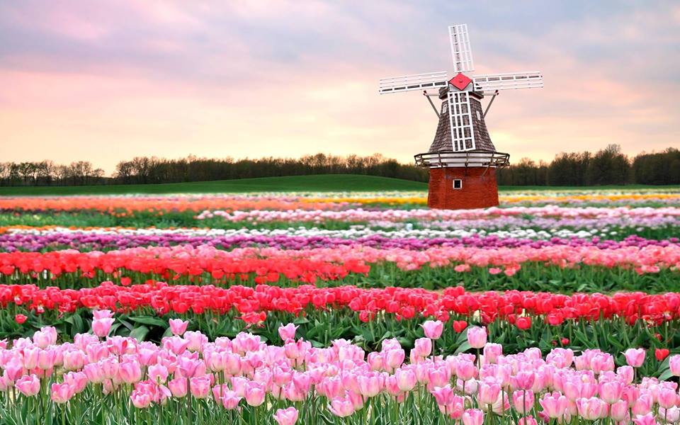 Top những địa điểm du lịch lãng mạn hấp dẫn nhất tại Đức 16 dia diem du lich tai duc 15 min