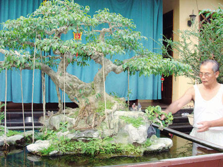 8 cây cảnh có tuổi đời hàng trăm năm, Sài Gòn List