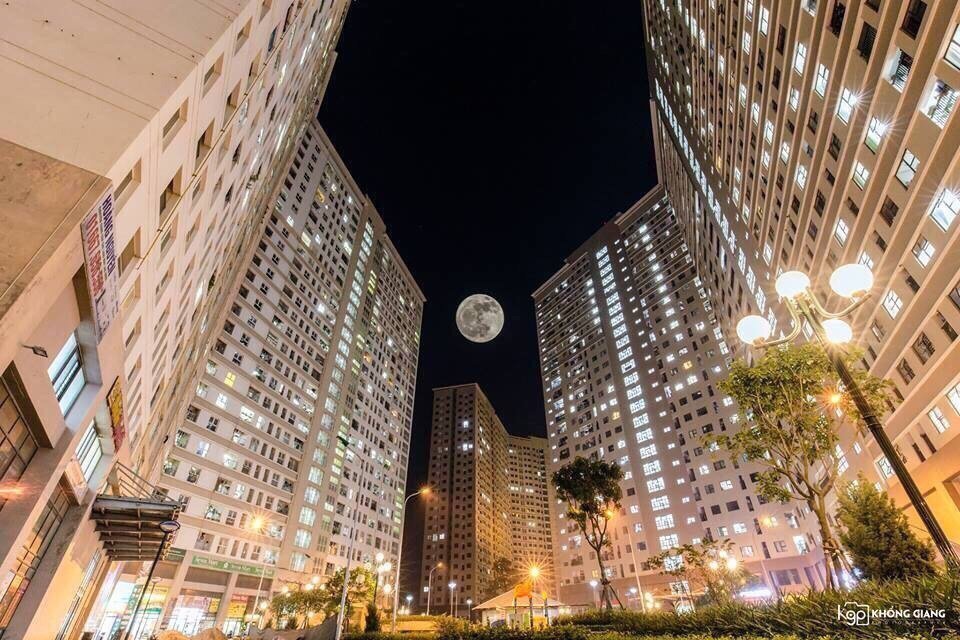 INOX TẤM CUỘN 304 316 CÔNG NGHIỆP - Ảnh 4