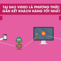 Mẫu - VAD_WT034