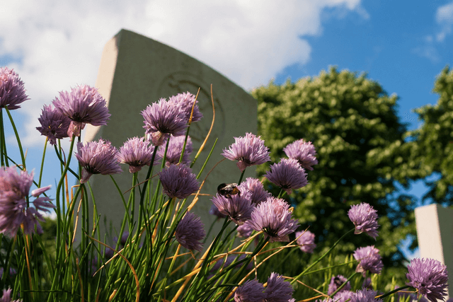 Những kiến thức cơ bản cần biết trong quay phim