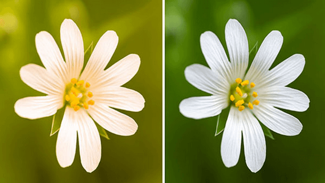 Tốc độ chụp Shutter Speed trong nhiếp ảnh kỹ thuật số