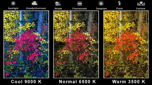 In hiflex kích thước lớn theo yêu cầu của khách hàng