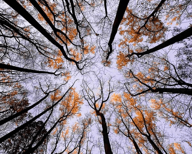 Các góc quay phim cơ bản và tiêu cự có vai trò gì đối với mỗi thước phim chuyên nghiệp?