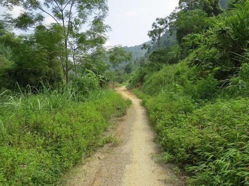 Chấn động Bắc Kạn vụ “biếu” doanh nghiệp hơn 6,5 tỷ đồng