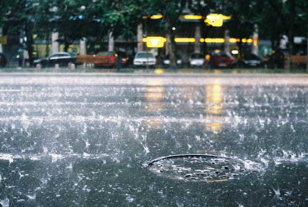 Nổi nhớ từ những cơn mưa bất chợt của Sài Gòn