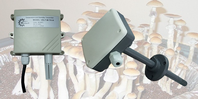 Gỗ sồi-Nột thất tốt cho nhà bạn