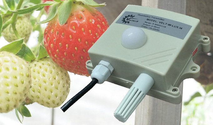 Cảm biến đo cường độ ánh sáng Lux