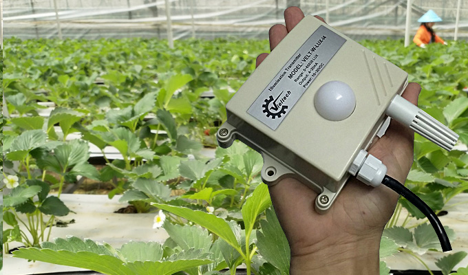 Cảm biến đo cường độ ánh sáng Lux