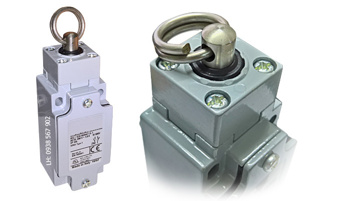 Những loài động vật có nguy cơ tuyệt chủng