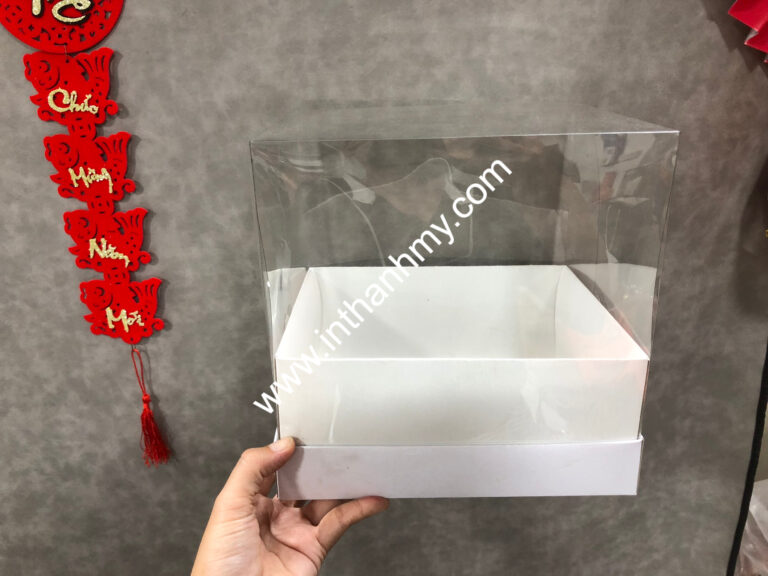 Khám Phá Thế Giới Đa Năng của Hộp Nhựa Thiết Kế, Tiện Ích và Ứng Dụng Đa Dạng Trong Suốt 1 hop nhua gia re