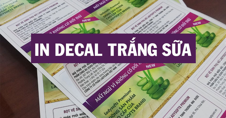 Khám Phá Thế Giới In Decal Trong Khổ Lớn – Đem Đến Tính Mỹ Thuật Và Chất Lượng Cao