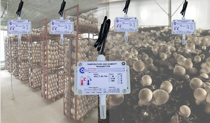 Những lợi ích không ngờ khi bạn lựa chọn ngủ trên nệm chất lượng